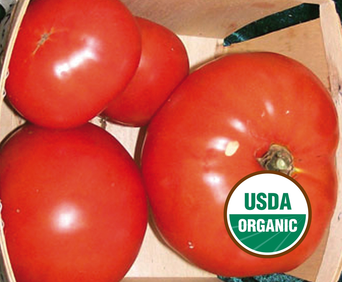 トマトページ❺ Tomatoes