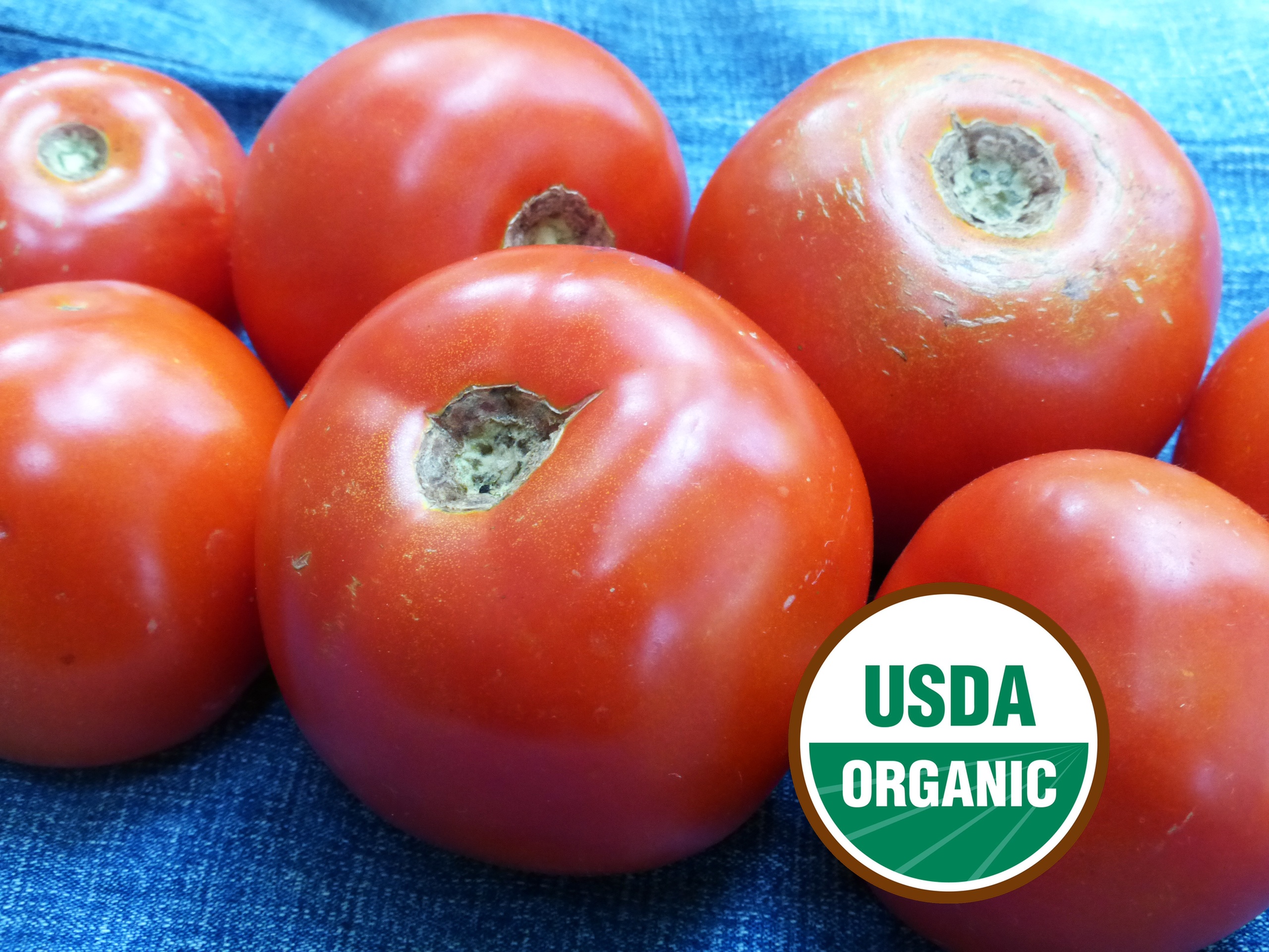 とまとページ Tomatoes