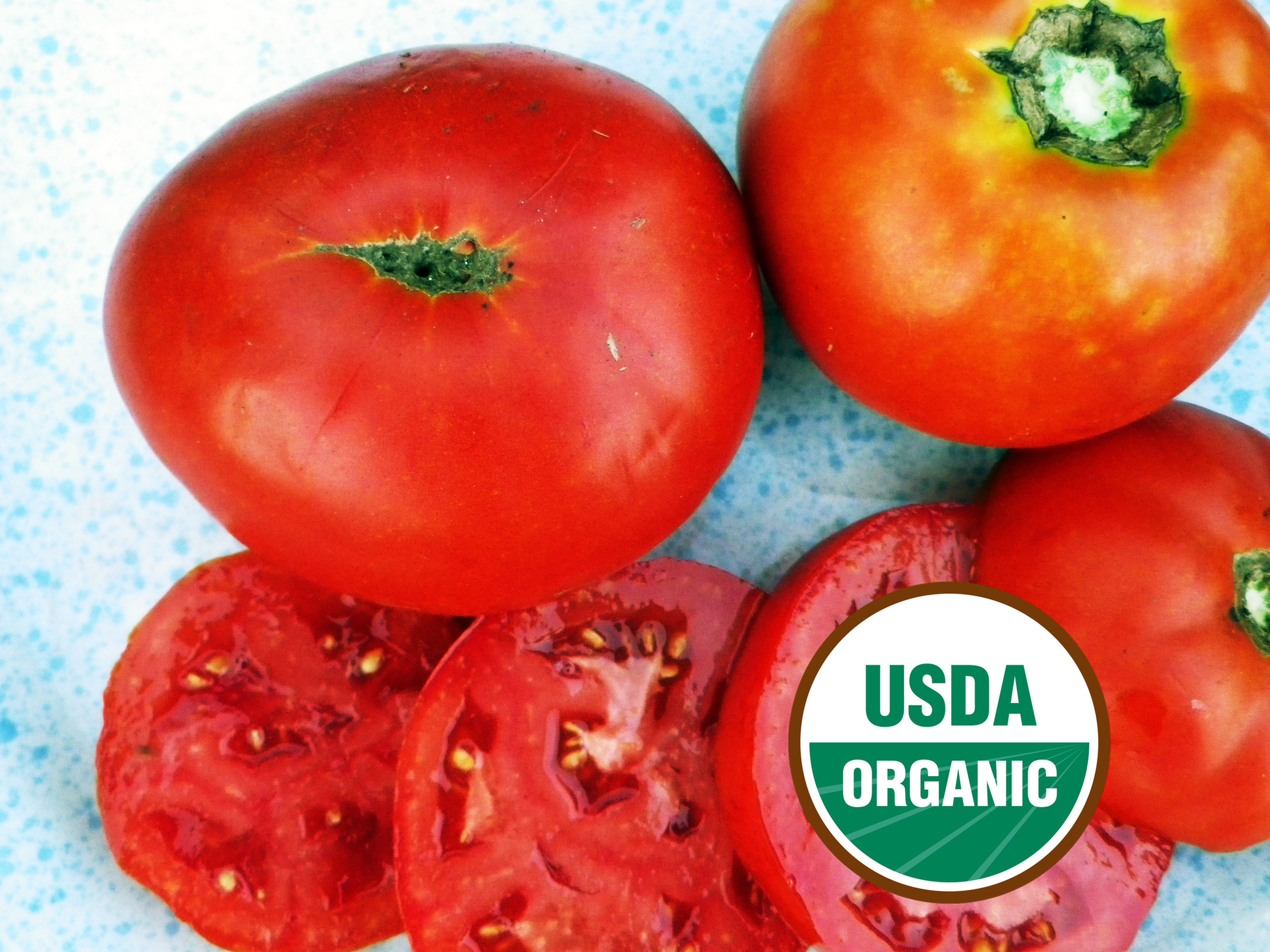 Mountaineer Delight (West Virginia '17B) Tomato Organic