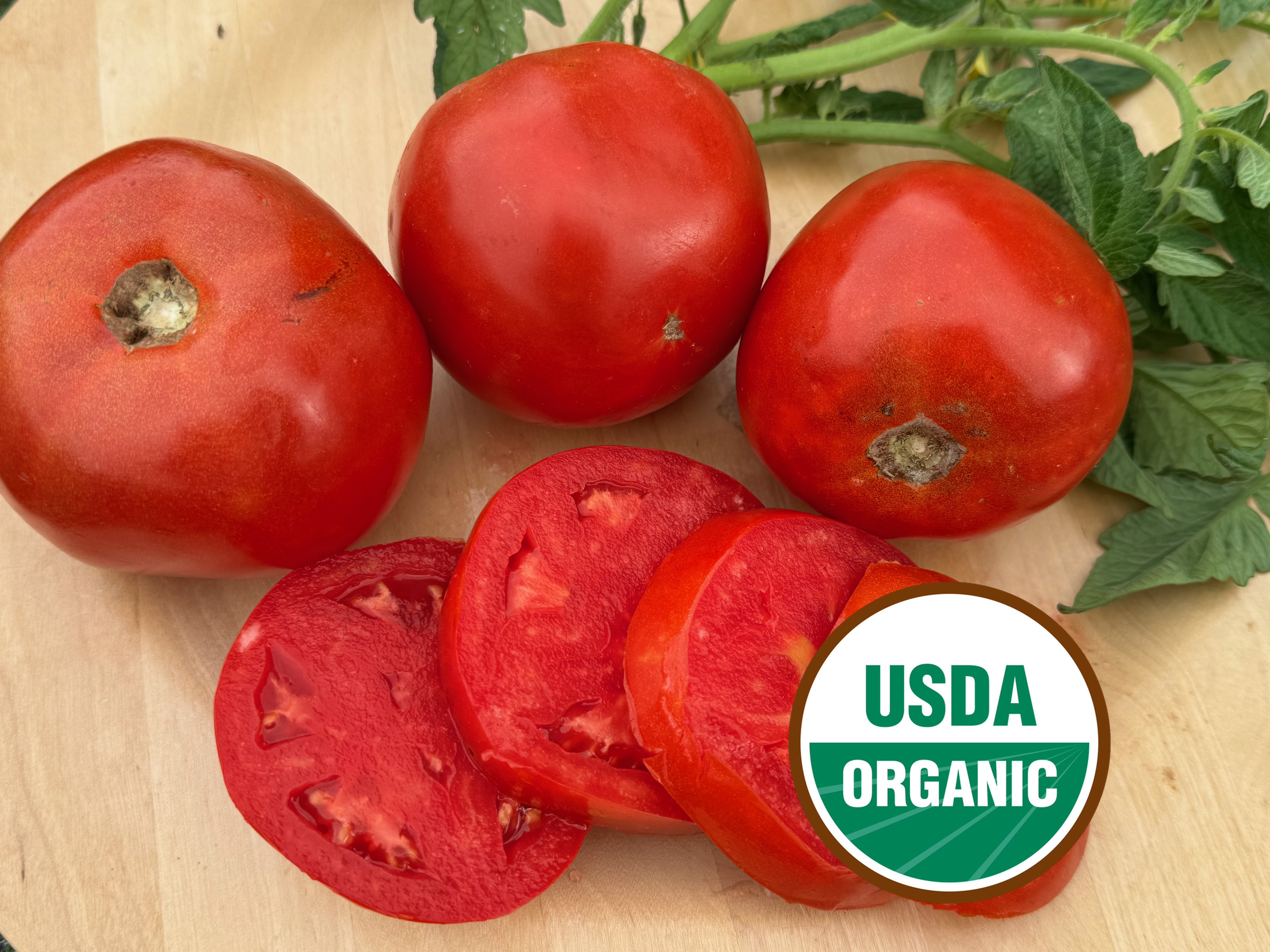 Red Tomatoes