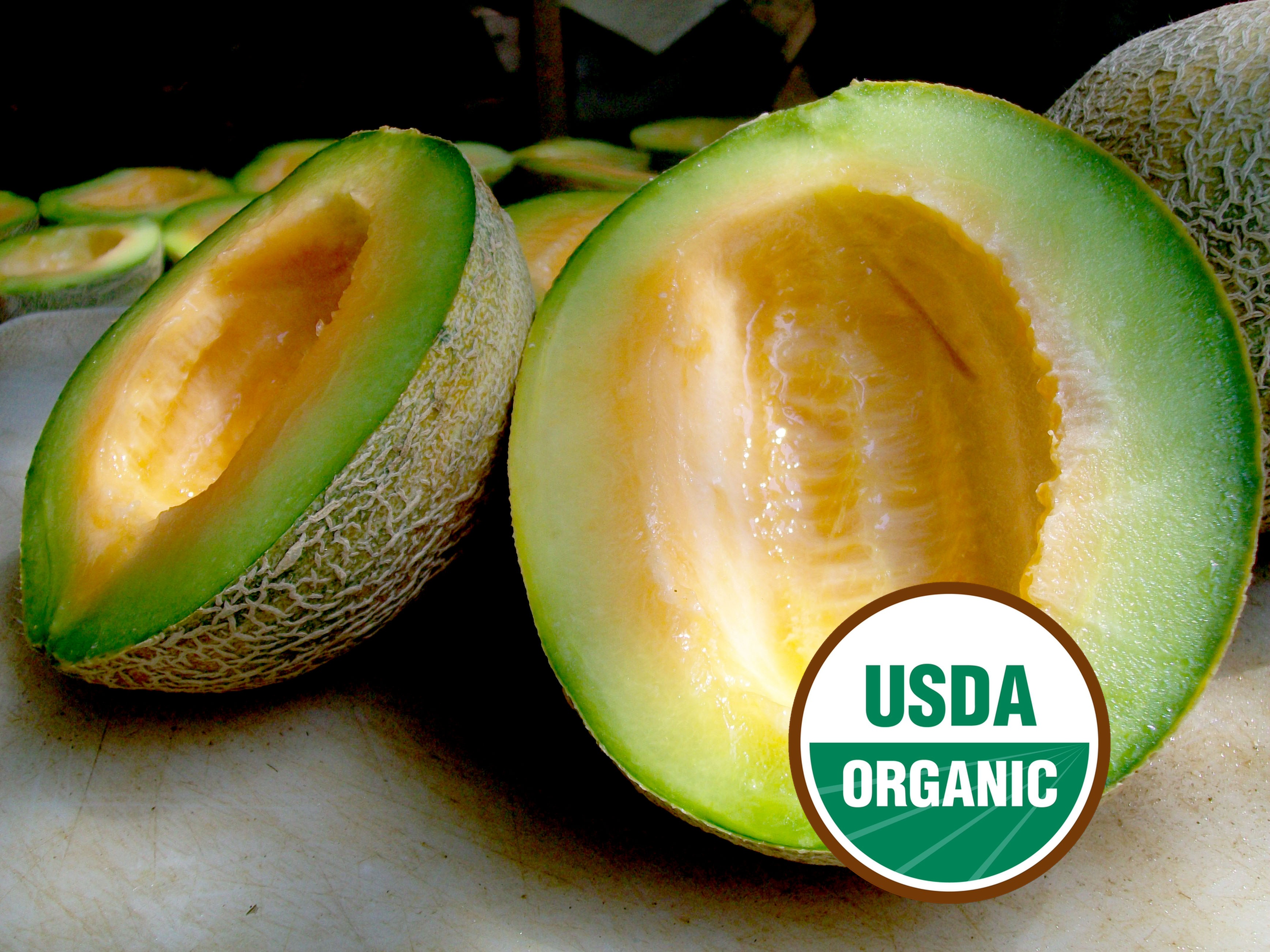 Ice Cream (Green Machine) Muskmelon Organic