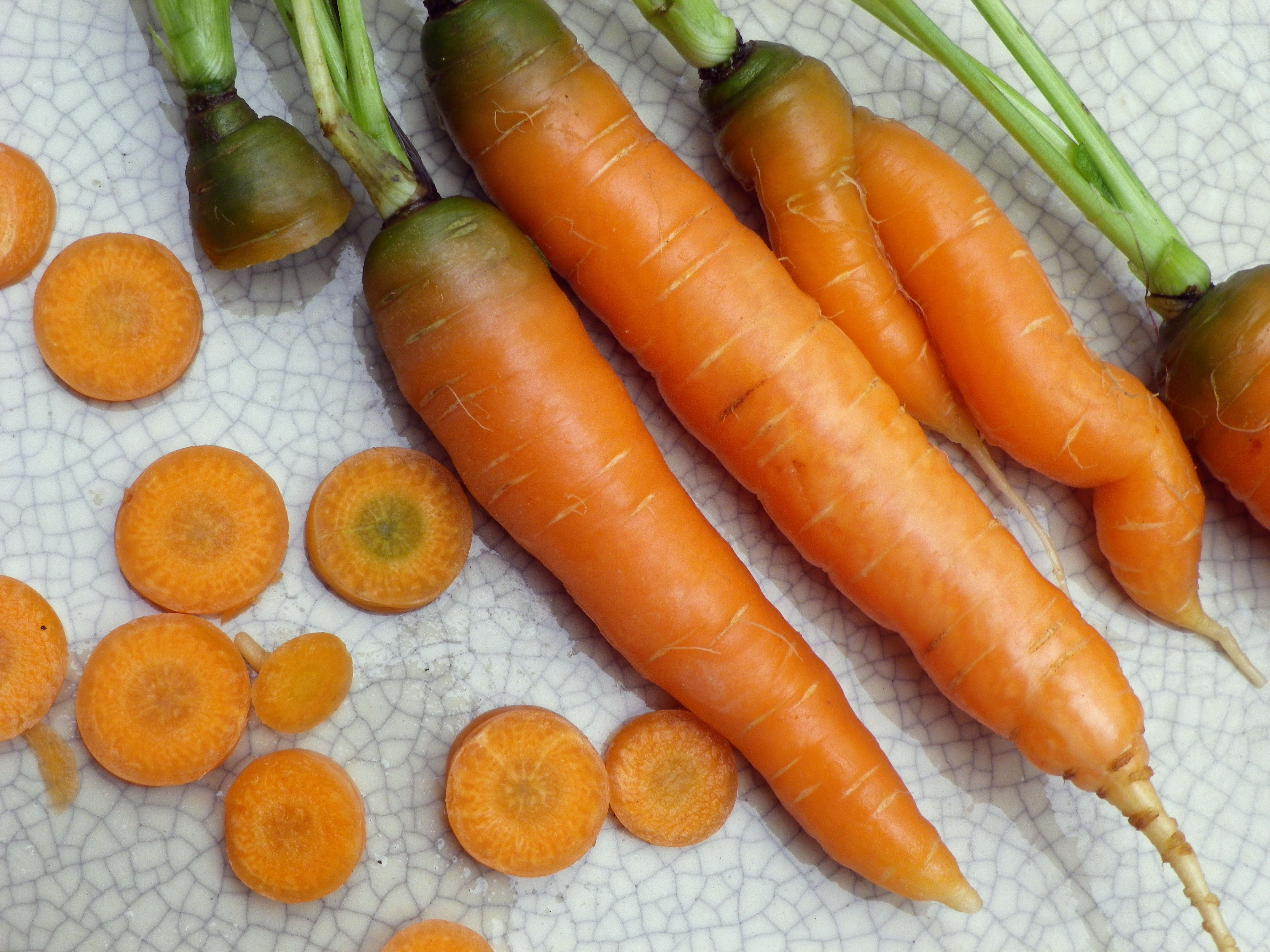 Minicor (Amsterdam Minicor) Carrots