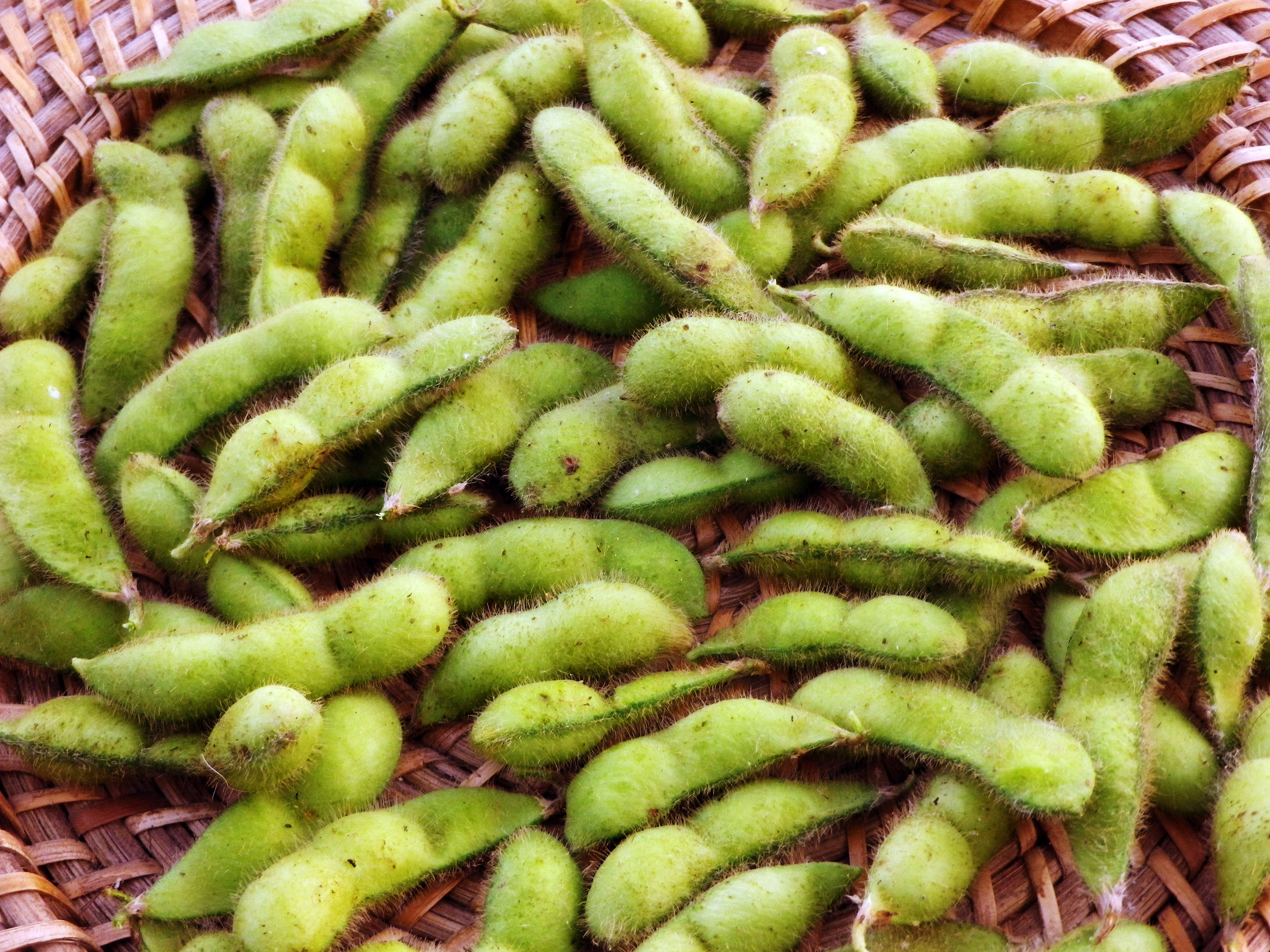 Tohya Edamame (Soybean)