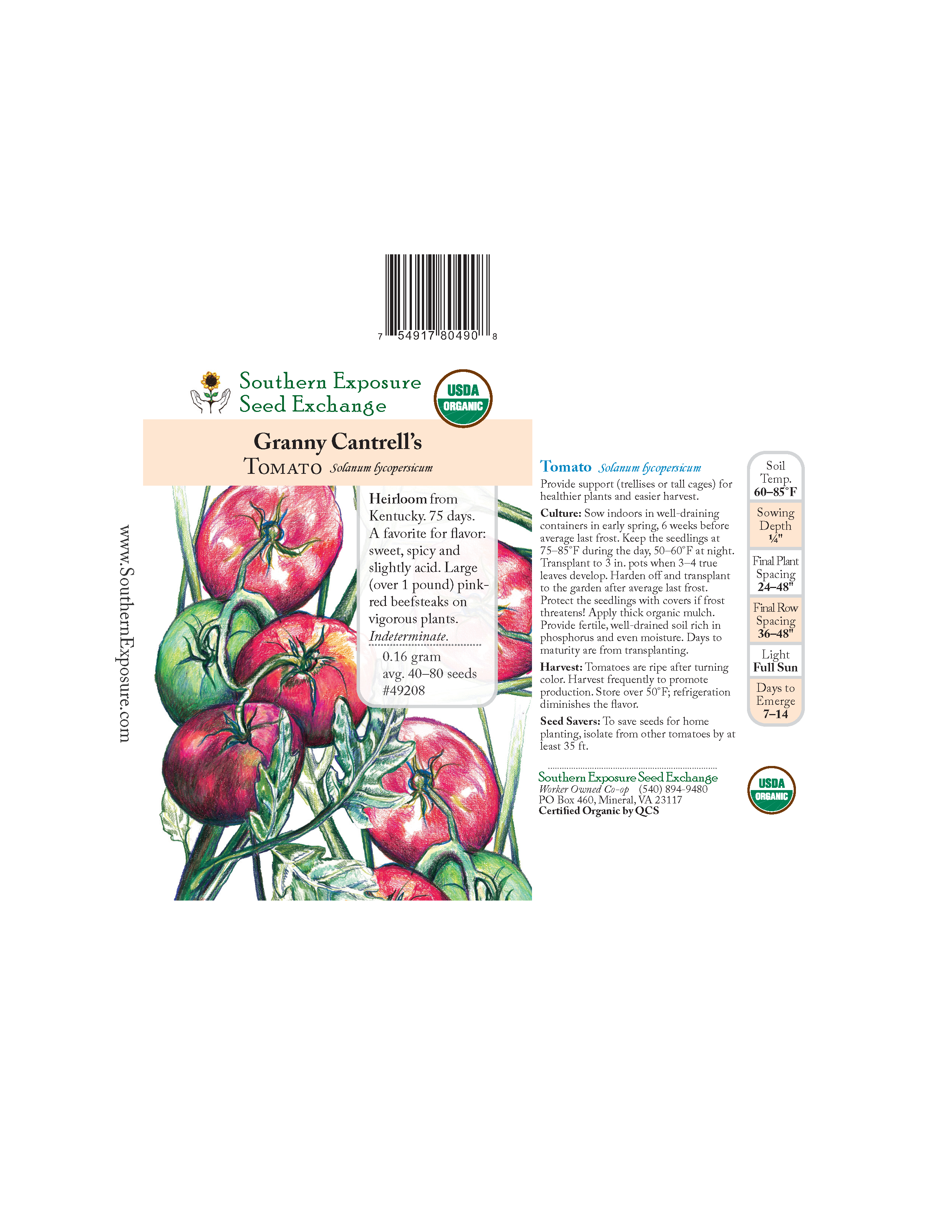 Granny Cantrell's German Red/ Pink Tomato