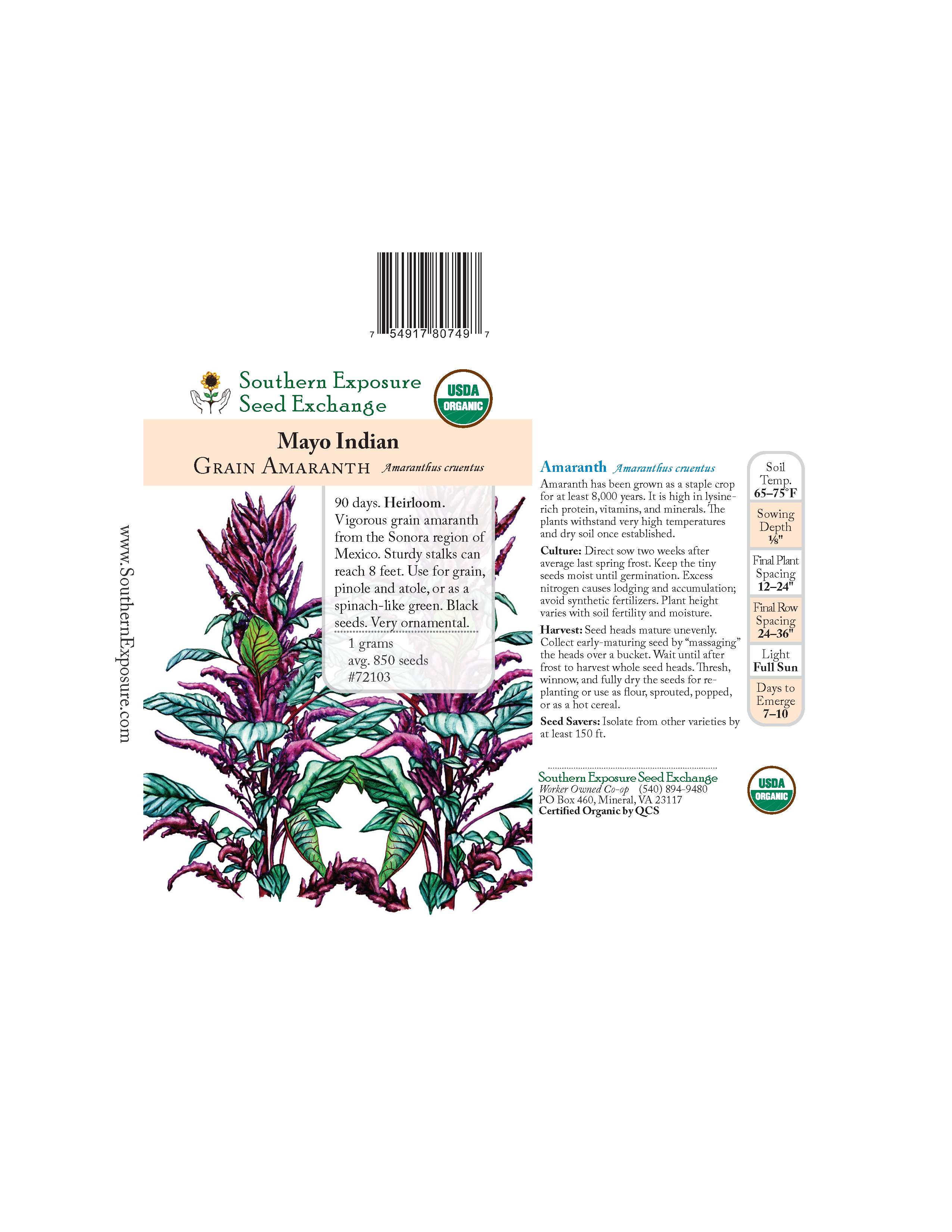 vanilla seeds for planting Vanilla planifolia | Vanilla Orchid main image 0