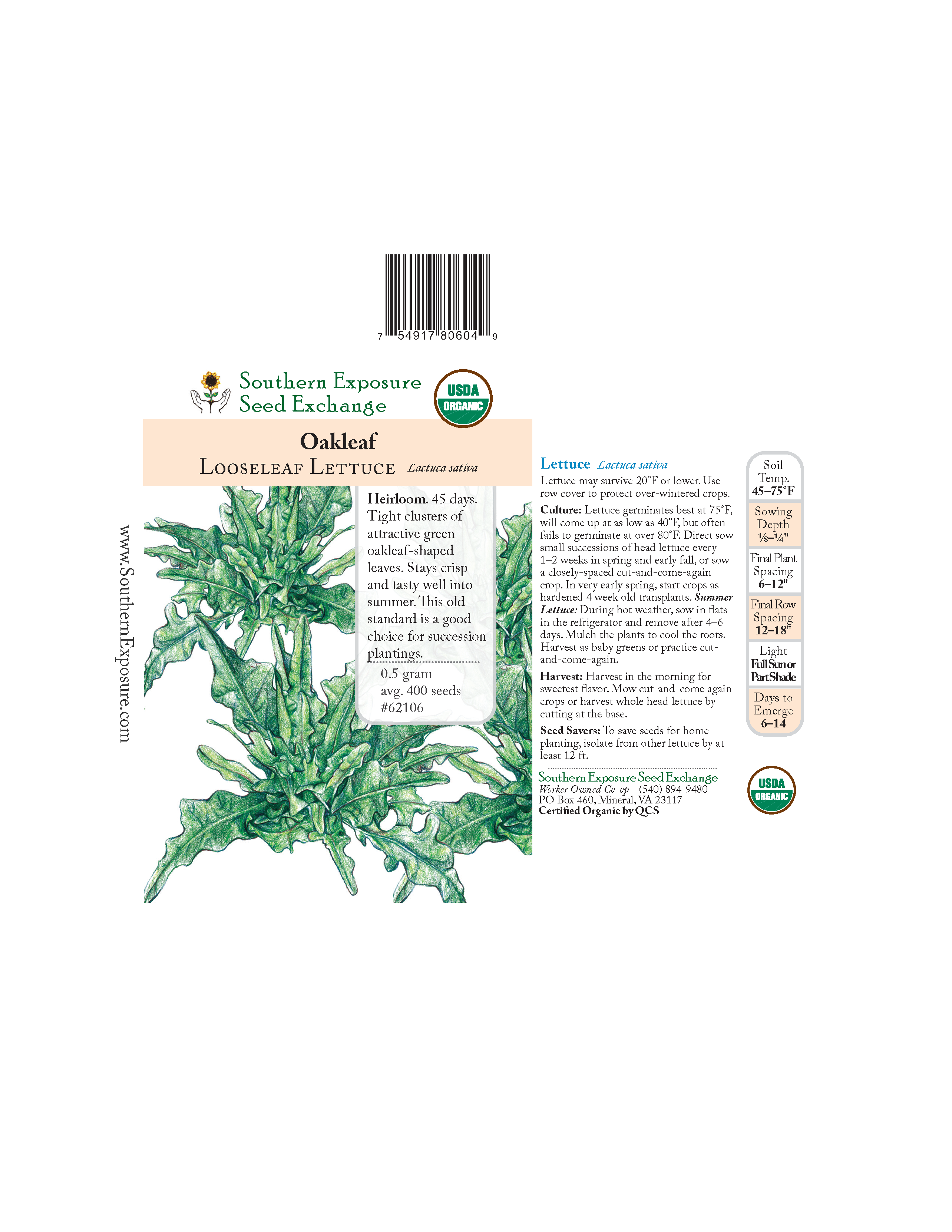 Southern Exposure Thai Oakleaf Lettuce Seeds - Thumbnail 3