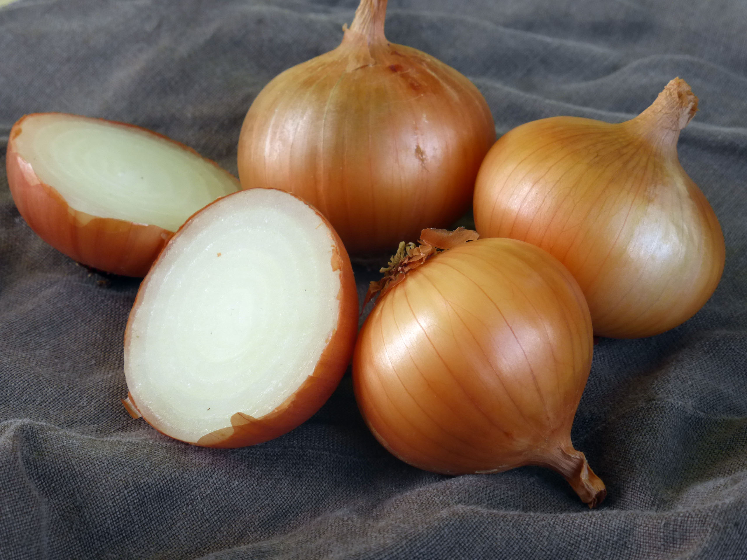 Walla Walla Sweet Dry Bulb Onion