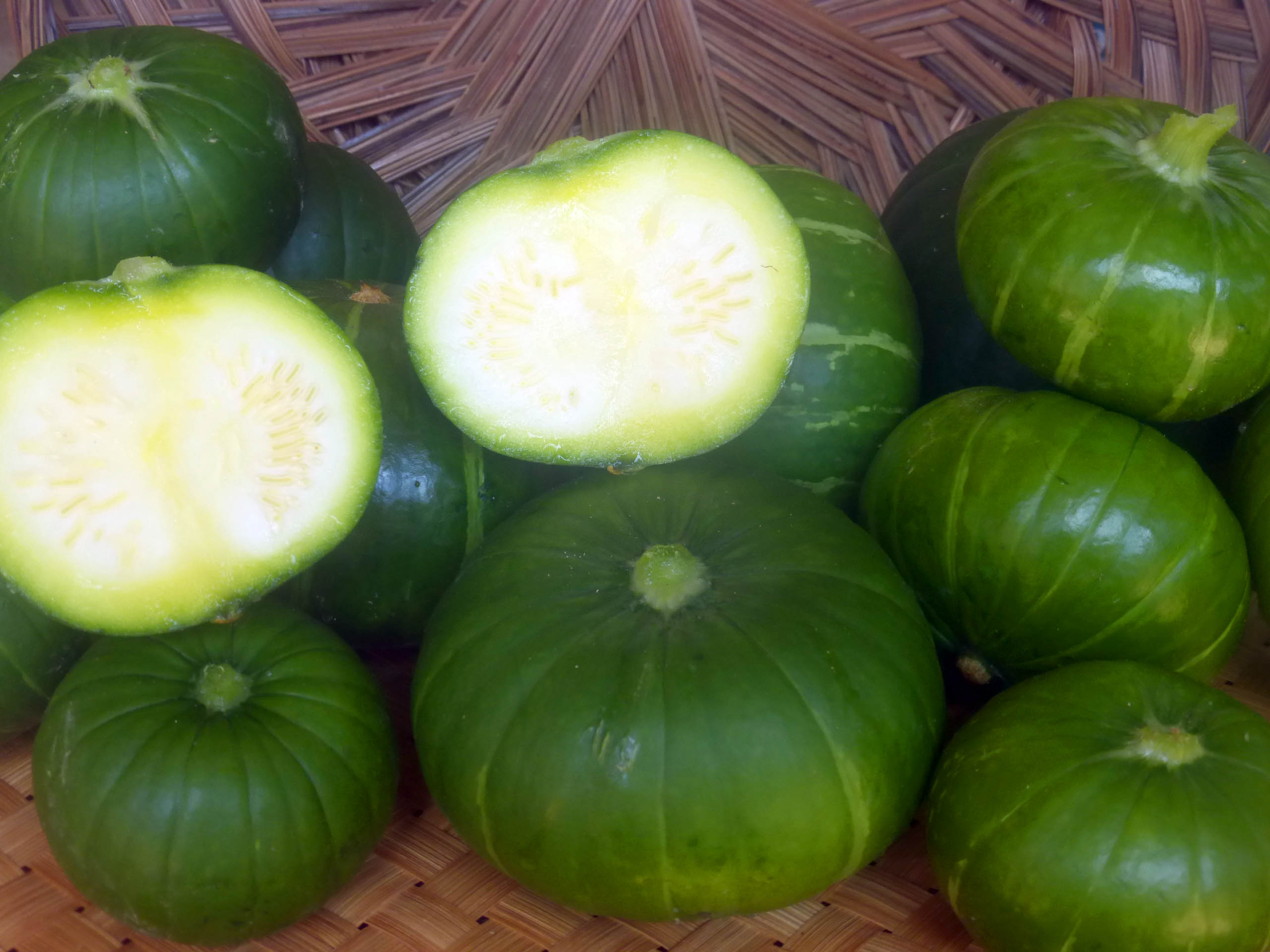 Zapallo del Tronco Summer Squash