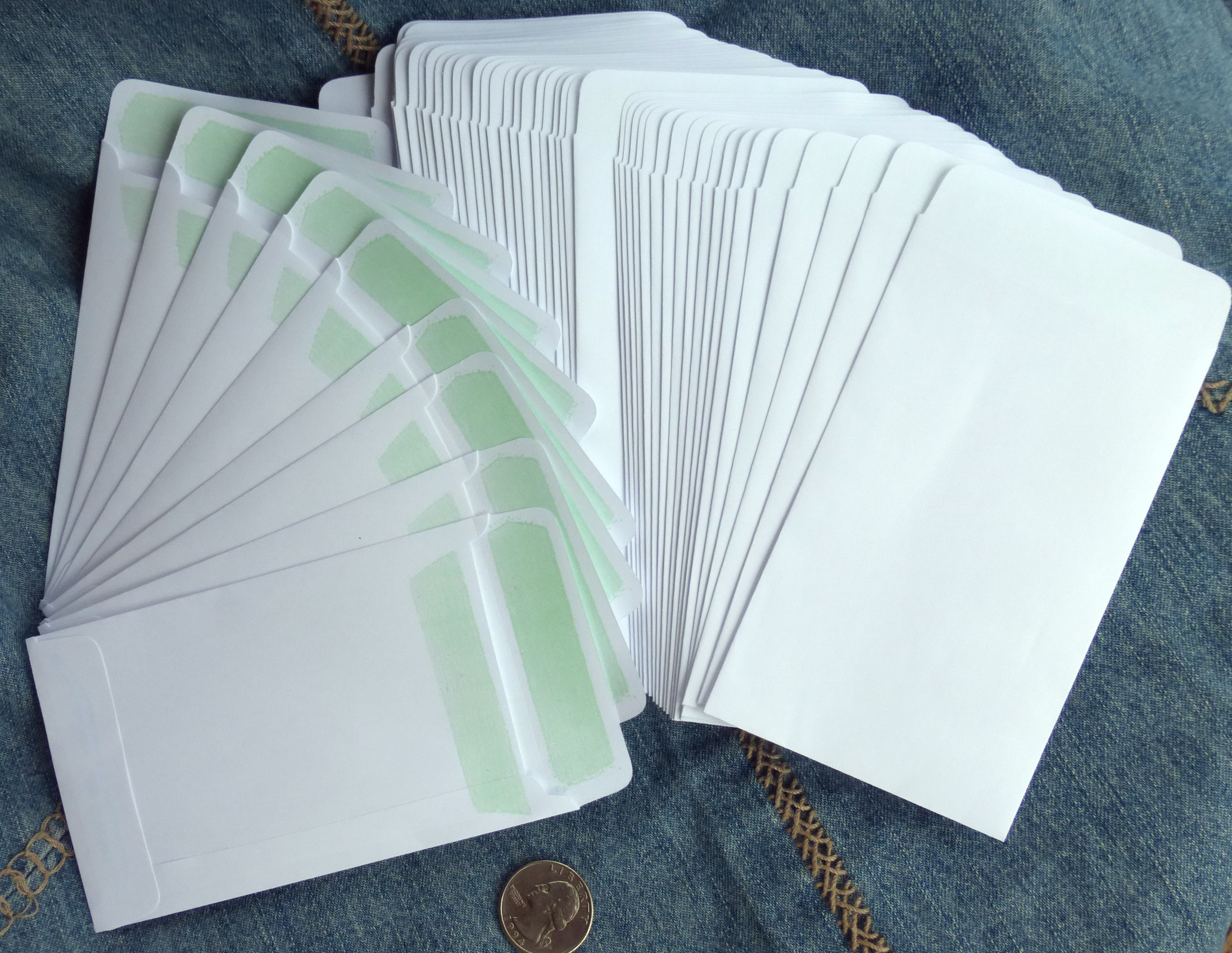 White Seed Envelopes Seeds