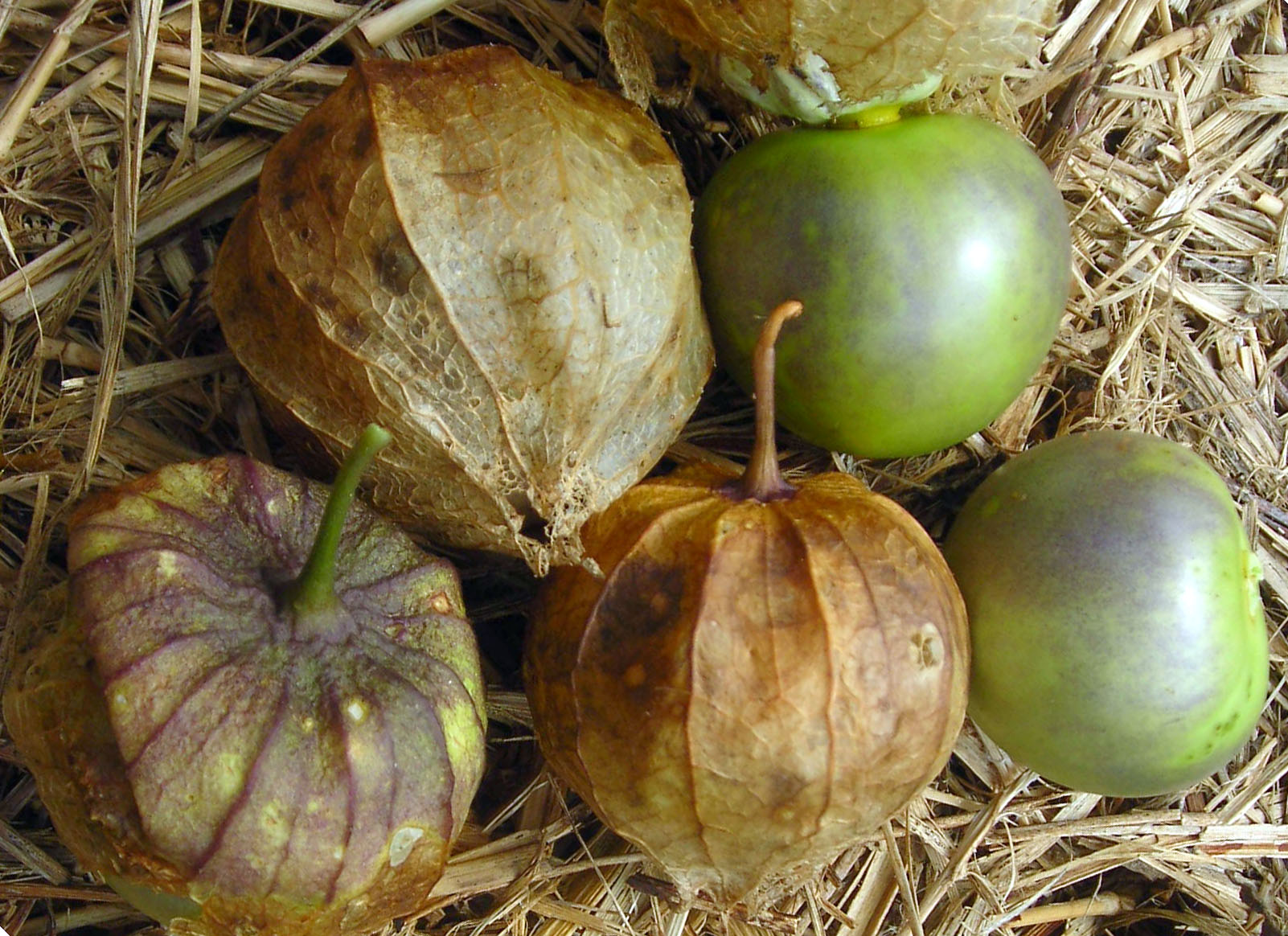 De Milpa Tomatillo
