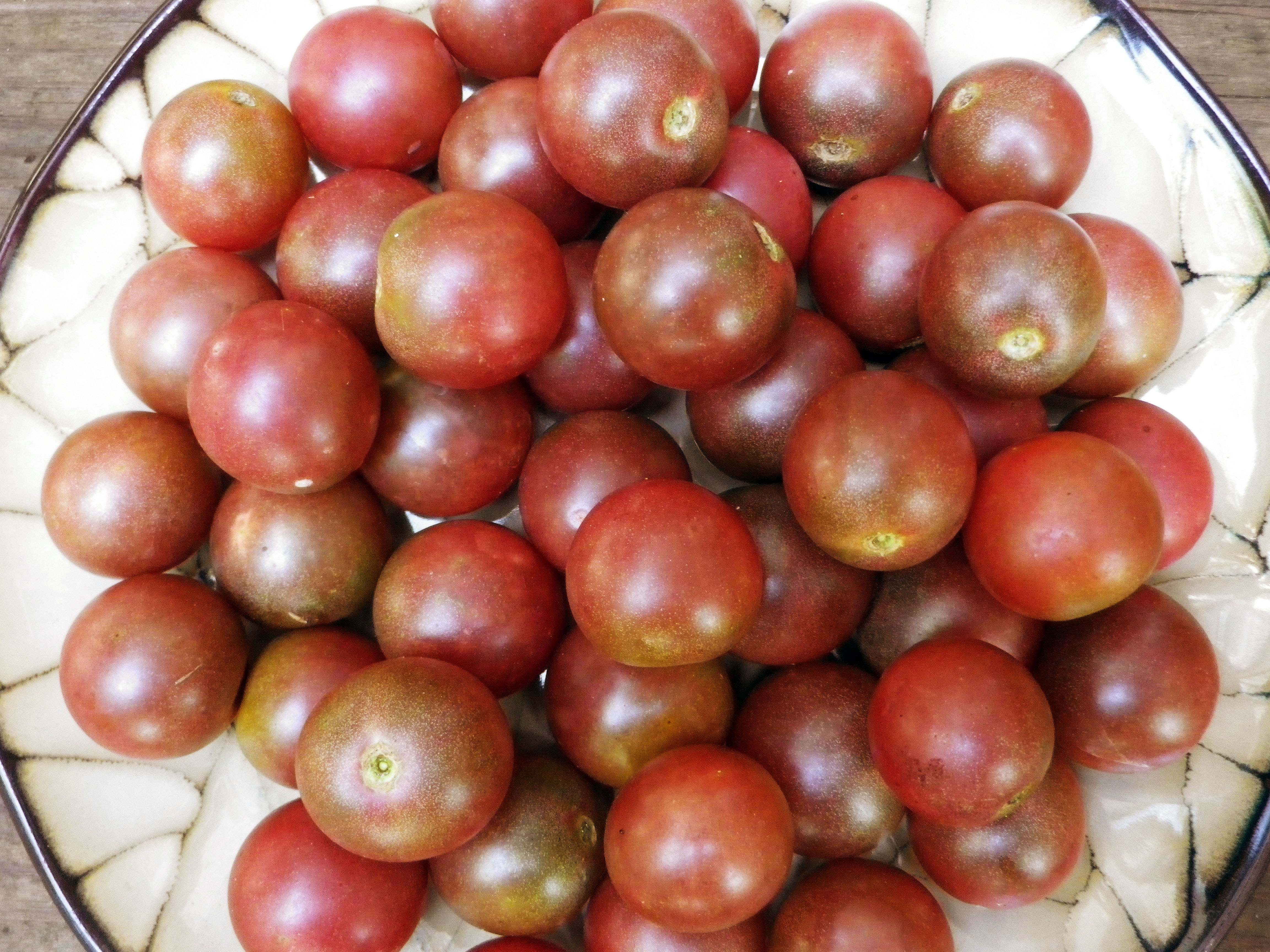Introducing the Mountaineer Delight & Mountaineer Pride Tomatoes from SESE –Their Generous Offer & Helpful Tips!