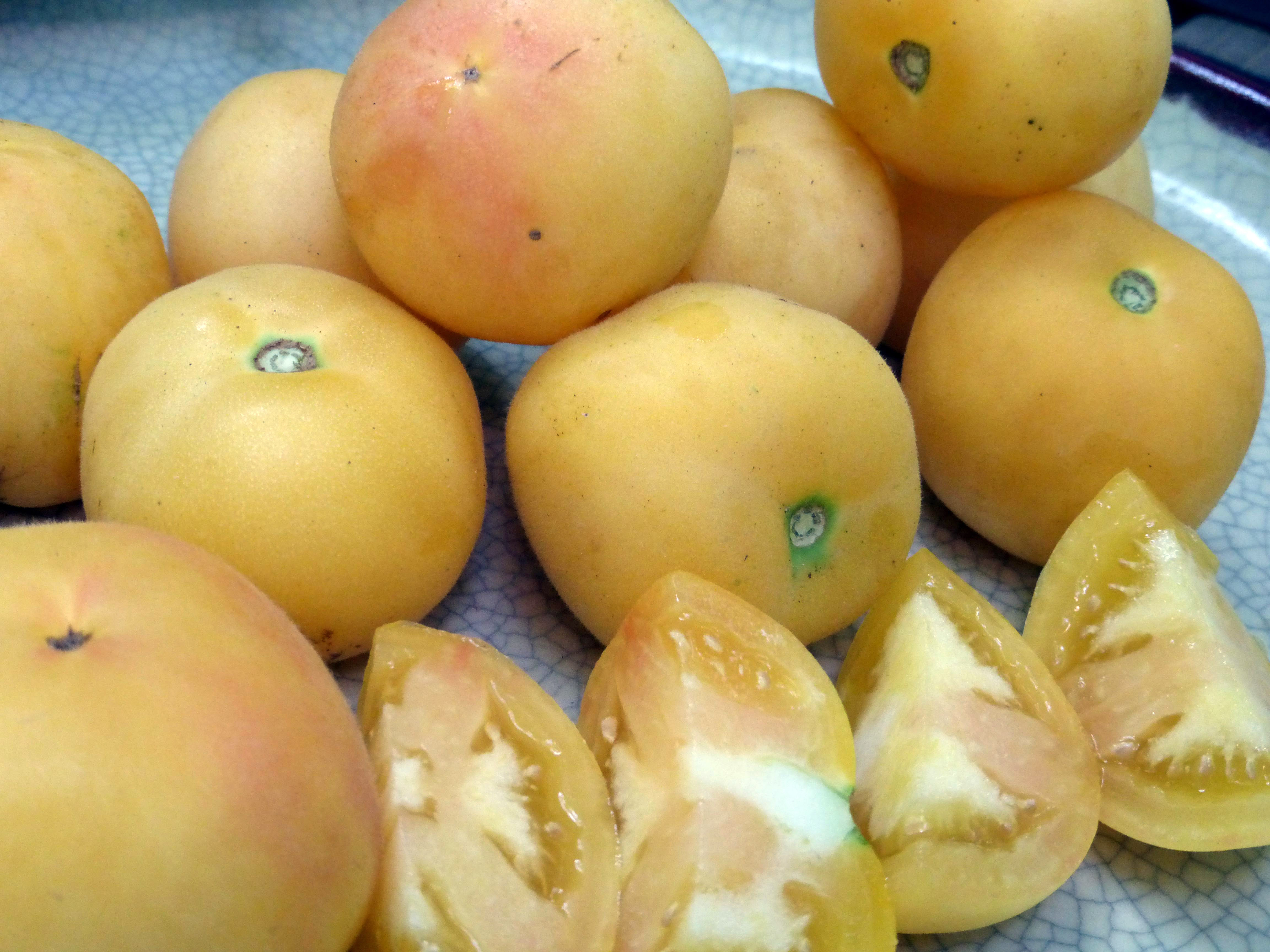 Bulk Wholesale 600 Seeds Lycopersicon Esculentum Tomato Garden Peach