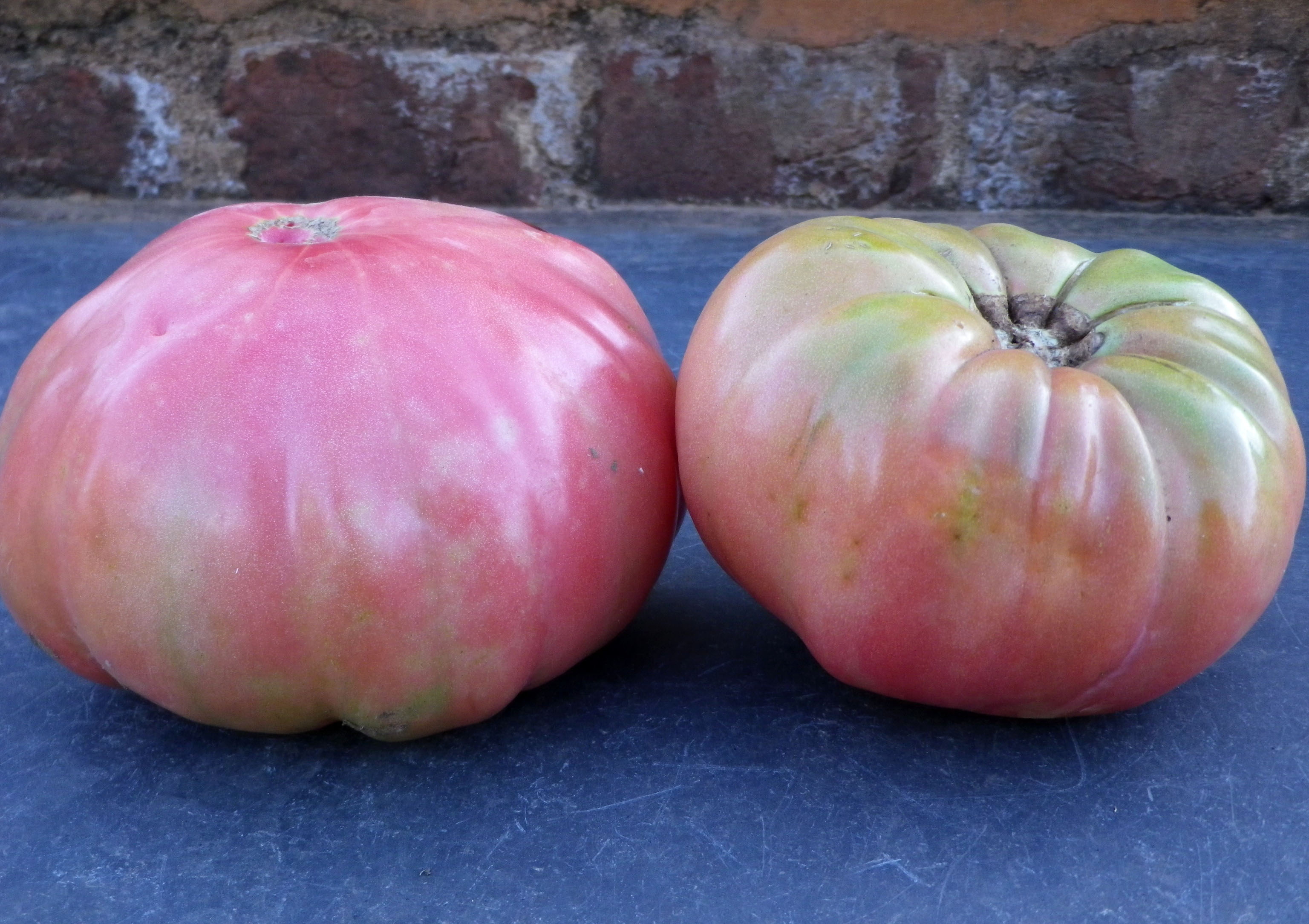 Omar's Lebanese Tomato