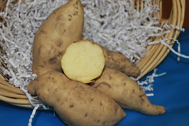 Baked White Sweet Potatoes, Farm To People