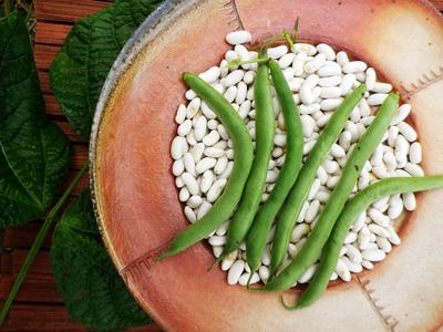 Bush Snap Beans