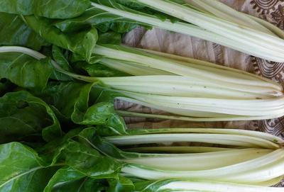 Product Image for Barese Chard