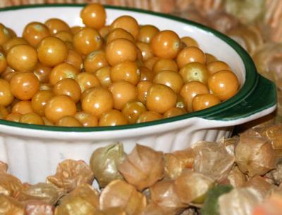 Product Image for Cossack Pineapple Ground Cherry