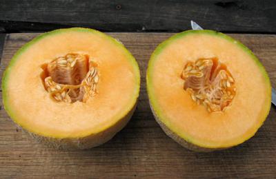 Product Image for Kansas Muskmelon