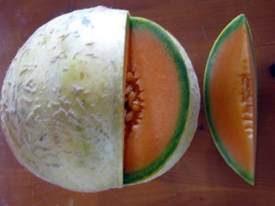 Melon, Green Flesh Honeydew (Cucumis melo) - 20 Seeds - Southern Seed  Exchange