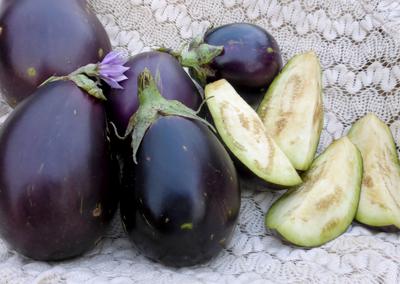 Product Image for Morden Midget (Morden Mini) Eggplant
