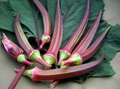 Product Image for Bowling Red Okra