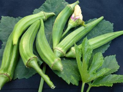 Product Image for Clemson Spineless Okra