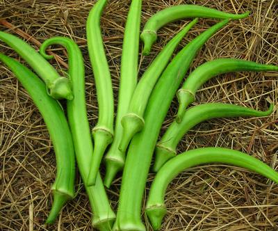 okra-stewart-zeebest-