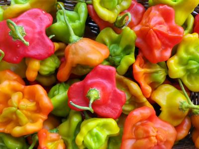 Product Image for Ubatuba Cambuci Spice Pepper