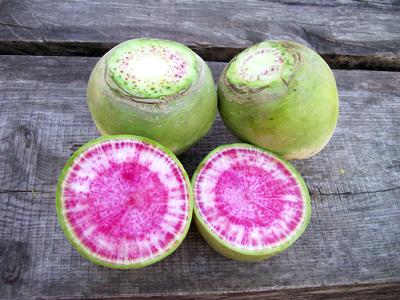 Southern Exposure Misato Rose Radish - Thumbnail 2