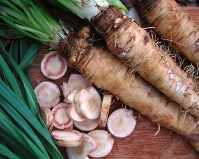 Product Image for Sandwich Island Mammoth Salsify