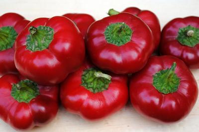 Southern Exposure Ashe County Pimento Sweet Pepper - Thumbnail 2