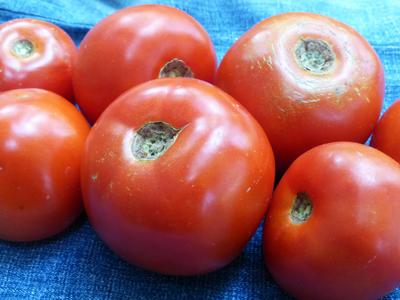 Product Image for Atkinson Tomato