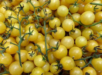 Yellow, Orange & White Tomatoes