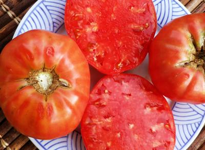 Product Image for Mason Marvel, Ph.D Tomato