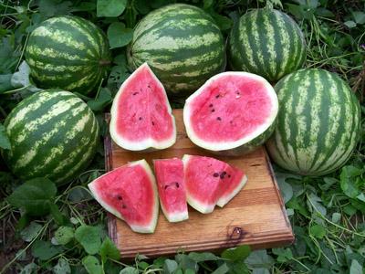 ウォーターメロン・ウーマン('95米) Wonder Melon Organic Watermelon Lemon Cayenne Juice, 8.45 fl oz